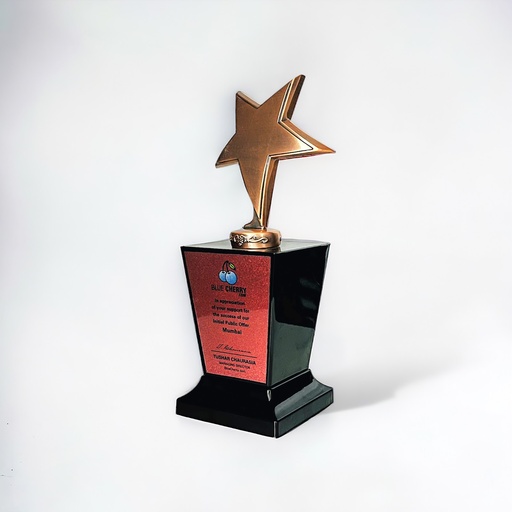 Wood & Metal Trophy WM 9501